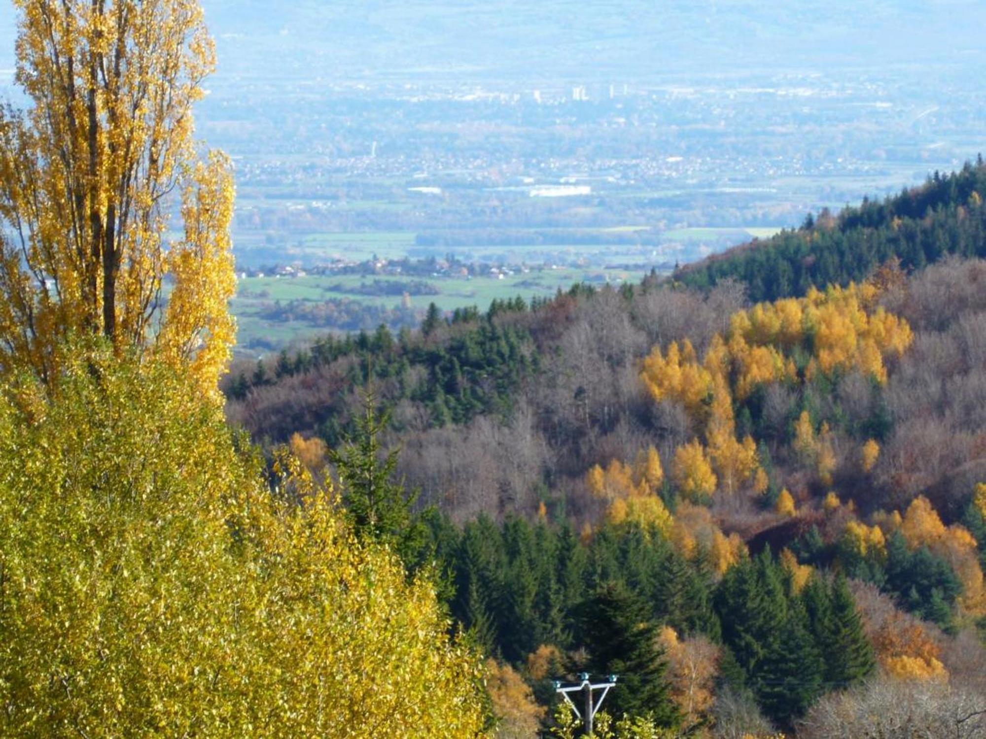Charmant Gite Avec Terrasse, Cheminee Et Jardin, A Proximite Des Bois, Animaux Acceptes - Fr-1-496-205 Saint-Jean-Soleymieux Zewnętrze zdjęcie