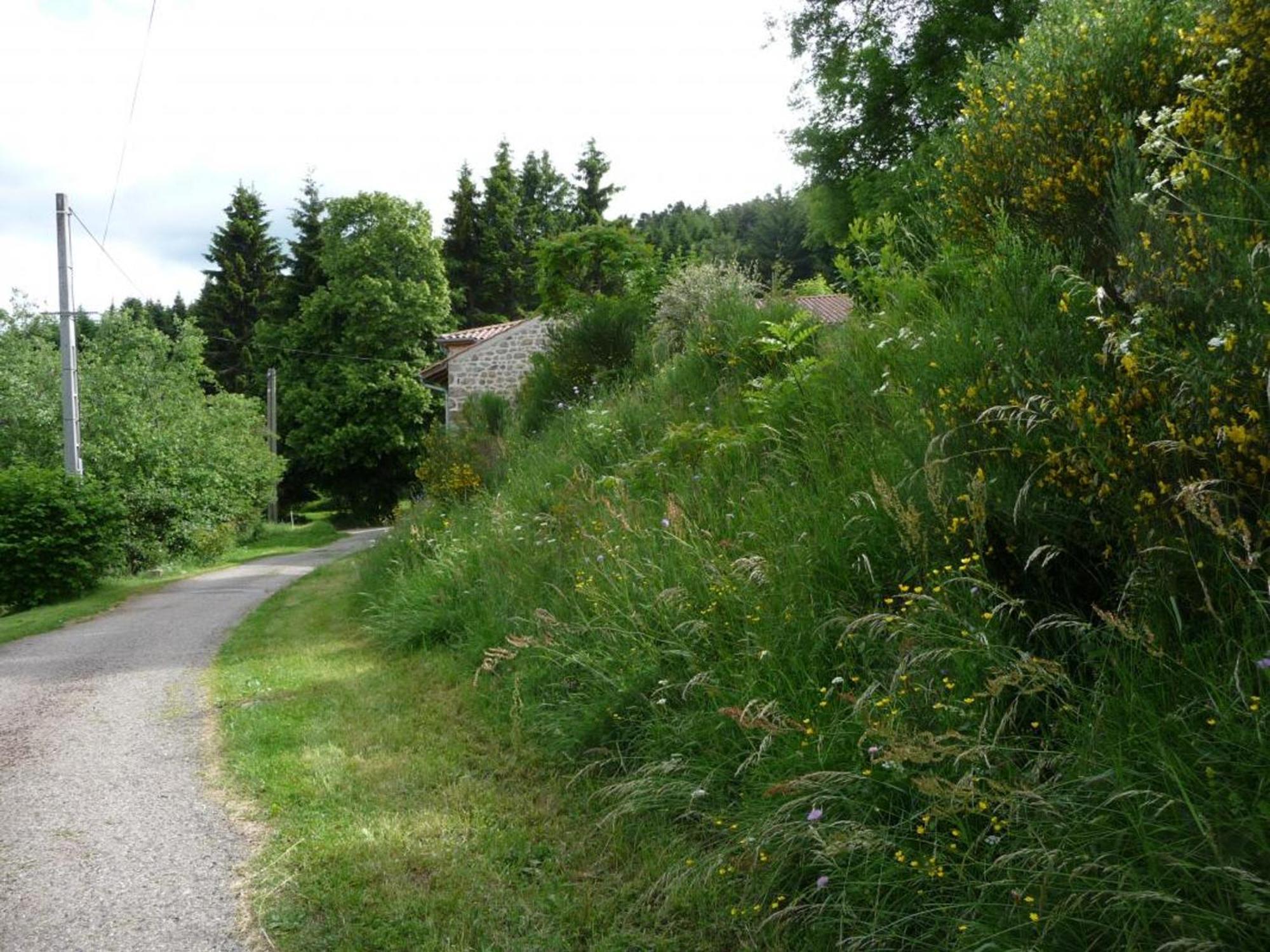 Charmant Gite Avec Terrasse, Cheminee Et Jardin, A Proximite Des Bois, Animaux Acceptes - Fr-1-496-205 Saint-Jean-Soleymieux Zewnętrze zdjęcie